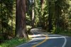 2011 Redwood Area Camp Meeting - Complete Series (MP3 Audio) 2011 Redwood Area Camp Meeting - Complete Series (MP3 Audio)